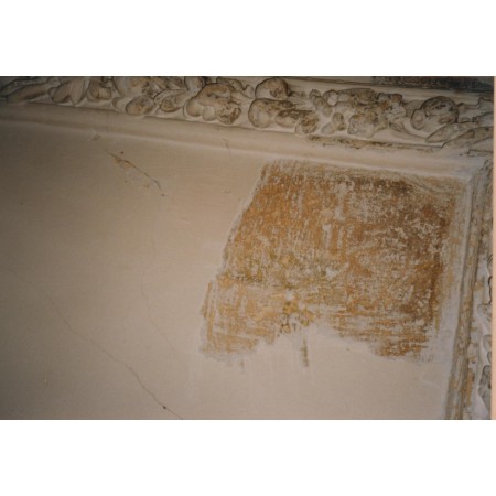 Patalpos 5 lubų ankstyviausio sluoksnio polichrominio dekoro atodanga